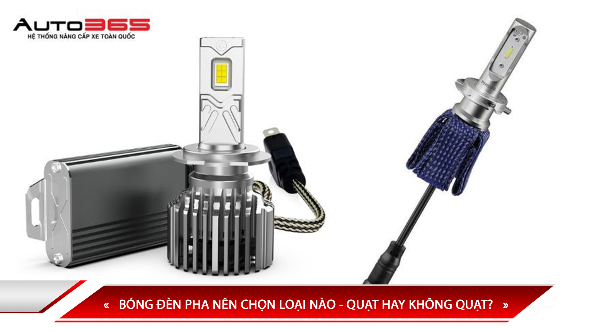 BÓNG ĐÈN PHA NÊN CHỌN LOẠI NÀO - QUẠT HAY KHÔNG QUẠT?